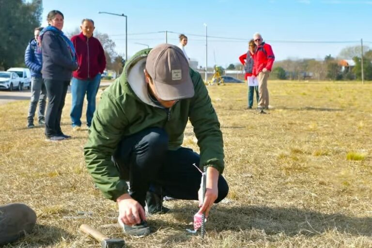 Los 100 lotes se encuentran distribuidos en diferentes sectores