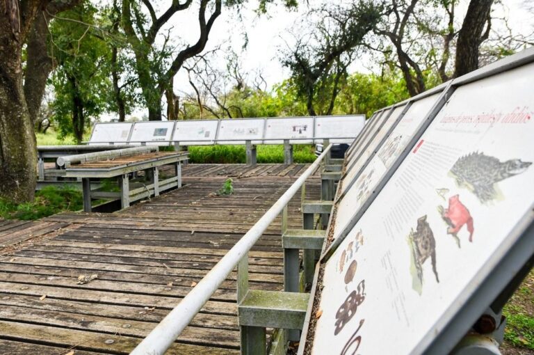 El Parque Provincial de Cayastá se encuentra dentro del valle aluvial del río Paraná y conserva un gran sector de bosques ribereños