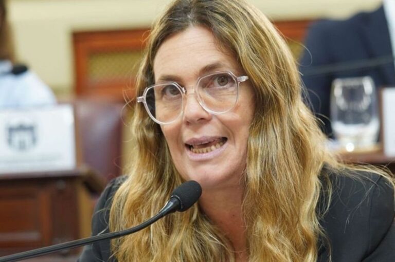 La diputada provincial Silvana Di Stefano es integrante de la Comisión de la Región Centro en la Cámara Baja. Archivo