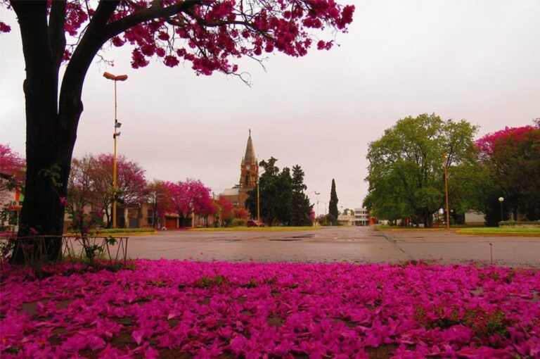 La ciudad de Sastre celebra este martes una nueva edición de las Fiestas Patronales en homenaje a su Co-Patrona