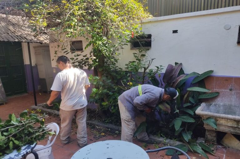 En la década del 90' el paisajismo tuvo su auge en el mundo