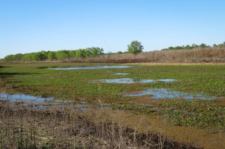 Ya se comenzaron a visibilizar columnas de humo a lo largo de toda la provincia