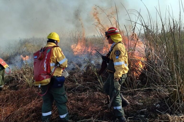 La intención es trabajar de manera conjunta y coordinada las acciones de prevención y manejo integrado de incendios forestales.  Archivo