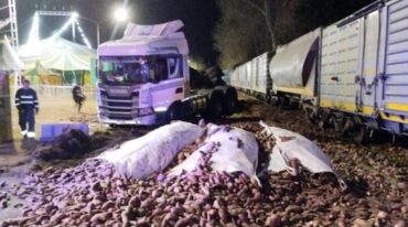 La carga quedó completamente esparcida. gentileza