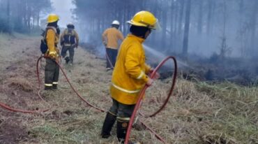 Se recibieron más de 300 incidencias respecto a incendios al 911 en el mes de julio