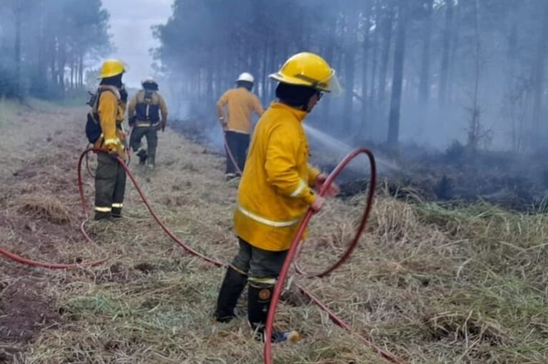 Se recibieron más de 300 incidencias respecto a incendios al 911 en el mes de julio