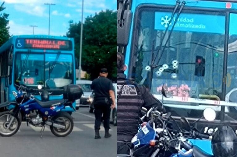 Daloia conducía el colectivo que fue atacado a tiros