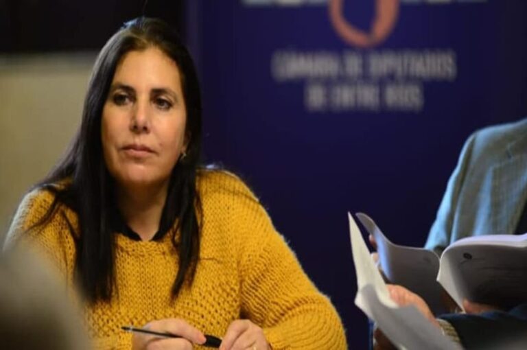 Diputada Gabriela Lena