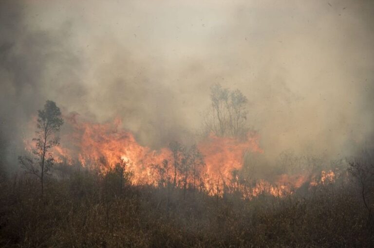 Entre otras acciones