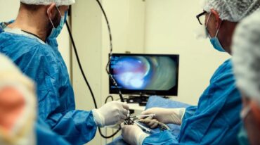 Esto daría comienzo a una nueva etapa de aplicación en medicina humana en casos de litiasis vesical (cálculos)