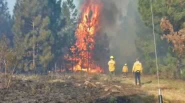 Cualquier chispa o fuego mal controlado puede generar un incendio de grandes dimensiones en suelos afectados por las heladas y la falta de lluvias.