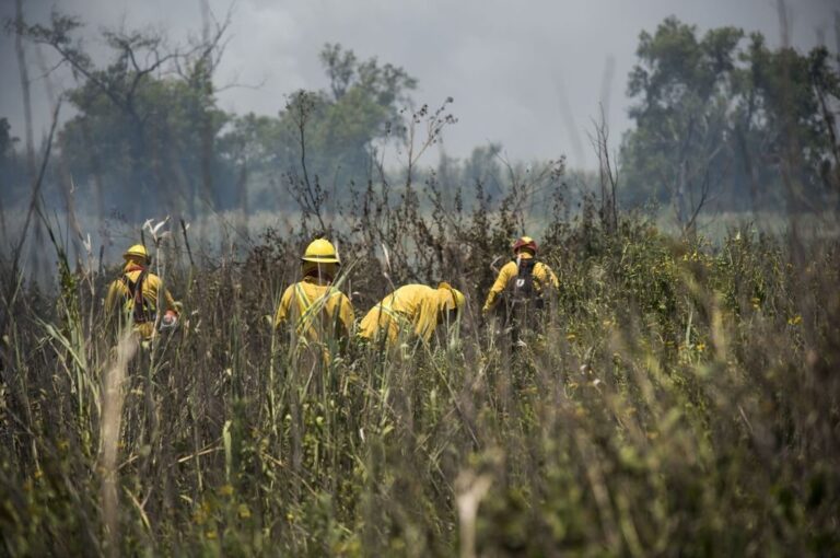 Bomberos Zapadores de la provincia de Santa Fe afirman que la situación es muy 'distinta' a lo sucedido en 2022
