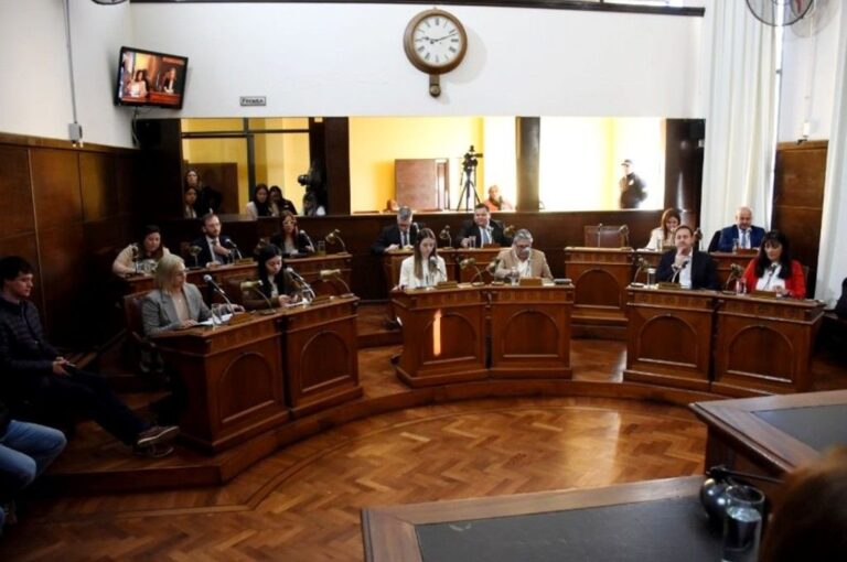 Concejo Deliberante de Concordia. Belén Fedullo
