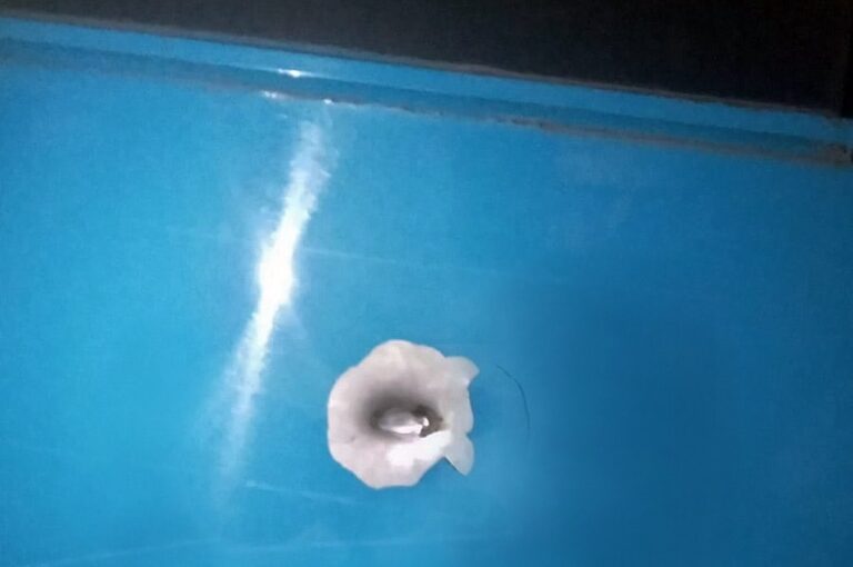 Los uniformados comprobaron que el coche había recibido cuatro impactos de bala en su lateral derecho. gentileza