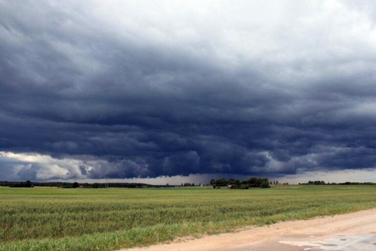 Los pronósticos anticipan que las precipitaciones serían mínimas. BCR