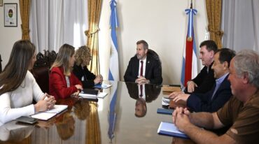 En la Casa Gris