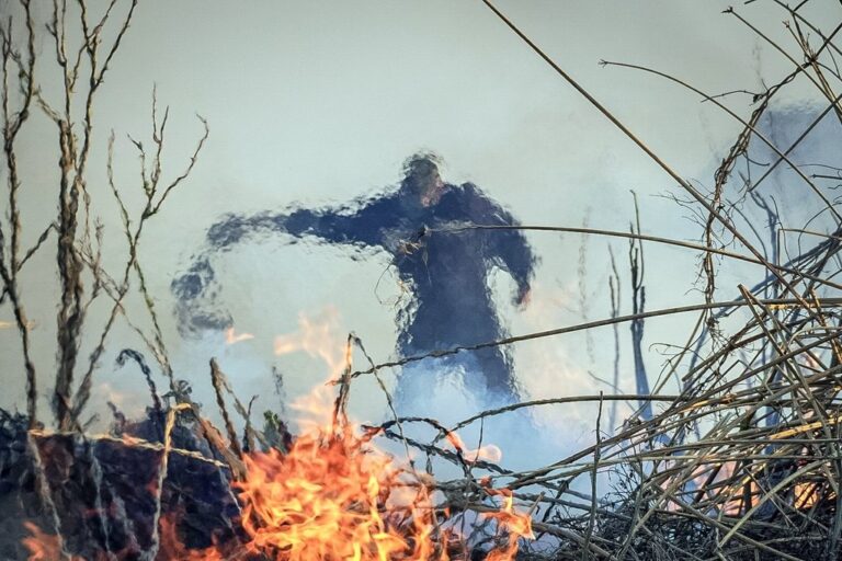 Las condiciones climáticas de escasas precipitaciones favorecen la proliferación de focos ígneos. archivo/gentileza Carlos Salazar