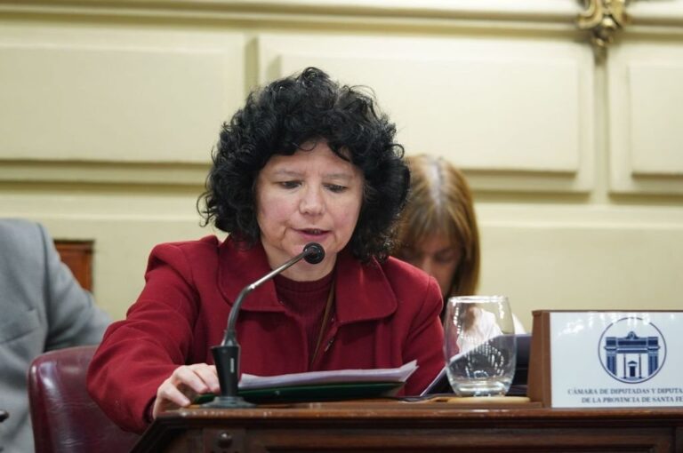 La diputada libertaria buscará impugnar en la Justicia la votación por la reforma previsional. Gentileza