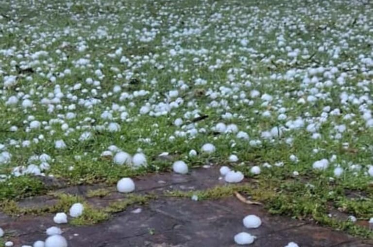 Granizo de gran tamaño sorprendió a los pobloadores de Saladero Cabal y Colonia Mascias.  Gentileza.