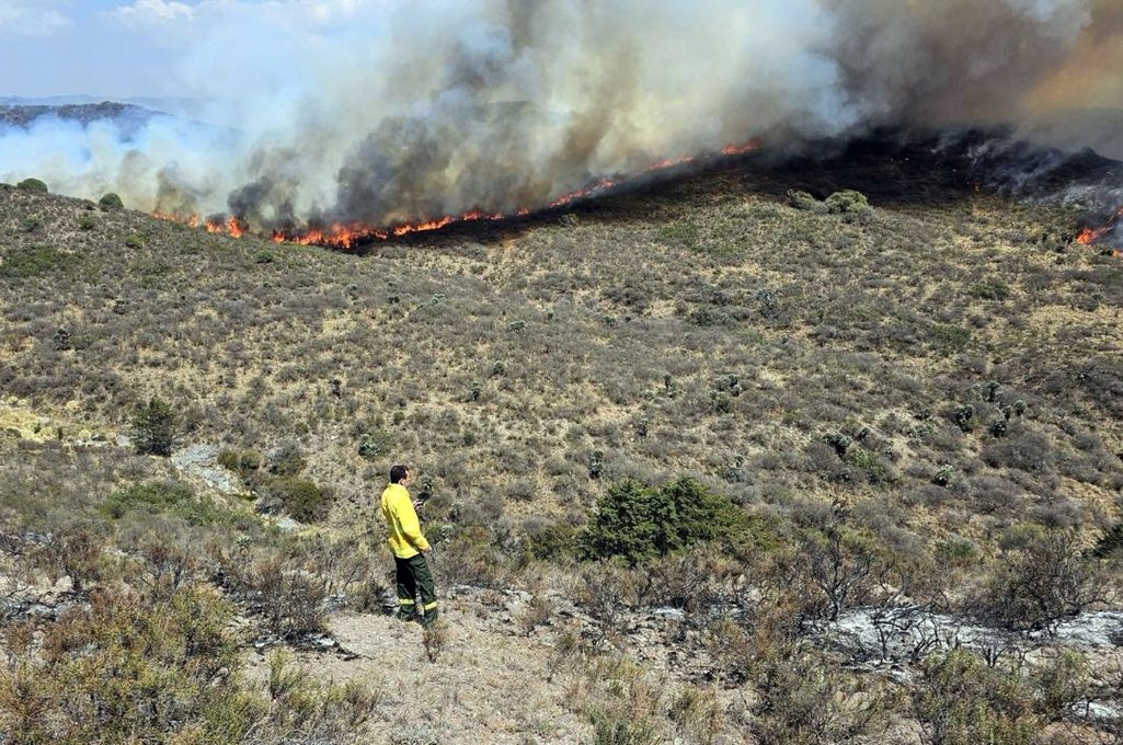 Son 31 los agentes pertenecientes a la Federación Santafesina de Asociaciones de Bomberos Voluntarios. Gobierno de la Provincia